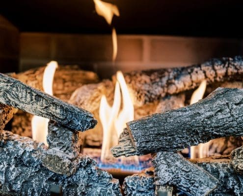 Propane gas log set appliance.